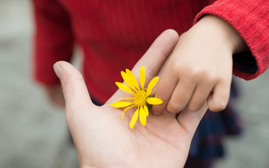 Nurturing Gratitude in Early Childhood: Strategies and Activities for Home and School