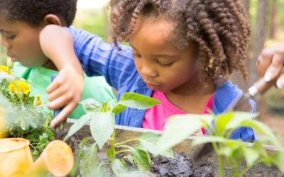 Gardening with Young Children: Growing Little Learners