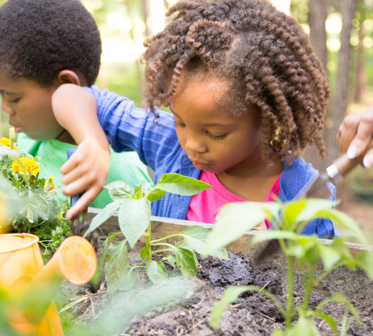 Gardening with Young Children: Growing Little Learners